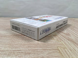 Final Fantasy 5 V Boxed Nintendo Super Famicom SNES Japan - UF5473