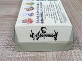 Romancing Sa Ga 3 Boxed Nintendo Super Famicom SNES Japan - UF5476