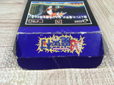 Chou Makaimura Super Ghouls 'n Ghosts Boxed Super Famicom SNES Japan - UF5491
