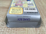 Super Mario Land 2 6 Golden Coins Boxed Nintendo GameBoy Japan - UF5546