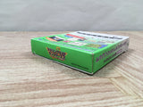 Dragon Quest Monsters 2 Ruka Boxed Nintendo GameBoy Japan - UF5548