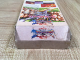 Breath of Fire 2 Shimei no Ko Boxed Nintendo Super Famicom SNES Japan - UF5578