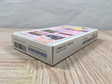 Hanjuku Hero Boxed Nintendo Super Famicom SNES Japan - UF5579