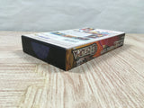 Elfaria A Fantastic Theater Boxed Nintendo Super Famicom SNES Japan - UF5581