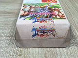 Breath of Fire 2 Shimei no Ko Boxed Nintendo Super Famicom SNES Japan - UF5582