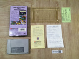 Populous Boxed Nintendo Super Famicom SNES Japan - UF5594