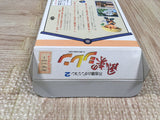Mystery Dungeon Fushigi no Dungeon 2 Boxed Super Famicom SNES Japan - UF5598