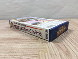 Fatal Fury Special Boxed Nintendo Super Famicom SNES Japan - UF5615