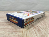 Fatal Fury Special Boxed Nintendo Super Famicom SNES Japan - UF5615