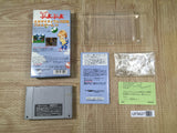 Super Puyo Puyo Boxed Nintendo Super Famicom SNES Japan - UF5627