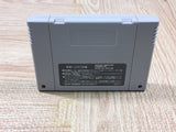 Kawa no Nushi Tsuri 2 Fishing Boxed Nintendo Super Famicom SNES Japan - UF5631
