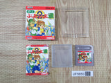 Puyo Puyo Tsu 2 Boxed Nintendo GameBoy Japan - UF5650