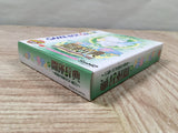 Fairy Kitty no Kaiunjiten Boxed Nintendo GameBoy Japan - UF5653