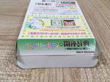 Fairy Kitty no Kaiunjiten Boxed Nintendo GameBoy Japan - UF5653