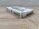 Mario & Luigi RPG Boxed Nintendo GameBoy Advance Japan - UF5663