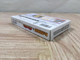 Dr. Mario & Panel de Pon Panepon Boxed Nintendo GameBoy Advance Japan - UF5678