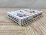 Dr. Mario & Panel de Pon Panepon Boxed Nintendo GameBoy Advance Japan - UF5678