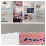Dragon Quest III 3 Boxed Nintendo Famicom NES Japan - UF5695