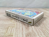 Final Fantasy 2 Boxed Nintendo Famicom NES Japan - UF5699