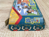 Ghosts'n Goblins Makaimura Boxed Nintendo Famicom NES Japan - UF5702