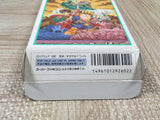 Hanjuku Hero Boxed Nintendo Super Famicom SNES Japan - UF5728