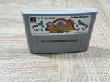 Hanjuku Hero Boxed Nintendo Super Famicom SNES Japan - UF5728
