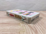 Hanjuku Hero Boxed Nintendo Super Famicom SNES Japan - UF5728