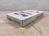 Hanjuku Hero Boxed Nintendo Super Famicom SNES Japan - UF5728
