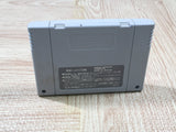 ActRaiser Boxed Nintendo Super Famicom SNES Japan - UF5729