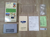 Elnard The 7th Saga Boxed Nintendo Super Famicom SNES Japan - UF5730