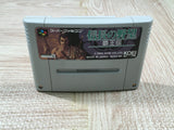 Nobunaga no Yabou Haouden Boxed Nintendo Super Famicom SNES Japan - UF5734