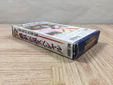 Fatal Fury Special Boxed Nintendo Super Famicom SNES Japan - UF5745
