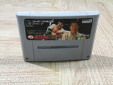 Zen Nippon ProWrestling Boxed Nintendo Super Famicom SNES Japan - UF5746