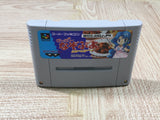 Super Nazo Puyo Rulue no Roux Puyo Puyo Boxed Super Famicom SNES Japan - UF5751