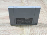 Super Nazo Puyo Rulue no Roux Puyo Puyo Boxed Super Famicom SNES Japan - UF5751
