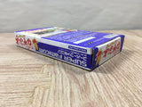 Super Nazo Puyo Rulue no Roux Puyo Puyo Boxed Super Famicom SNES Japan - UF5751