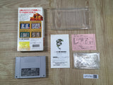 Shanghai Banri no Choujou Boxed Nintendo Super Famicom SNES Japan - UF5760