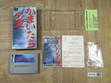 Banshee's Last Cry Kamaitachi no Yoru Boxed Super Famicom SNES Japan - UF5761