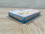Kawaii Koinu Puppy Mini Boxed Nintendo GameBoy Advance Japan - UF5779