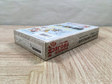 Wonder Project J Kikai no Shounen Pino Boxed Super Famicom SNES Japan - UF5800