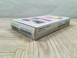 Hanjuku Hero Boxed Nintendo Super Famicom SNES Japan - UF5801
