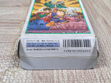 Hanjuku Hero Boxed Nintendo Super Famicom SNES Japan - UF5801