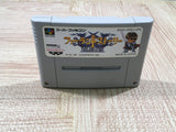 Farland Story Boxed Nintendo Super Famicom SNES Japan - UF5802