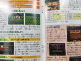 Seiken Densetsu 2 Secret of Mana Boxed Super Famicom SNES Japan - UF5812