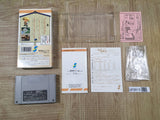 Mystery Dungeon Fushigi no Dungeon 2 Boxed Super Famicom SNES Japan - UF5815