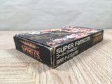 Samurai Shodown Spirits Boxed Nintendo Super Famicom SNES Japan - UF5824