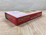 Battle Grand Prix Racing Boxed Nintendo Super Famicom SNES Japan - UF5836