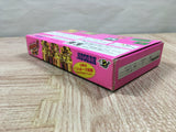 Bomberman BDaman Boxed Nintendo Super Famicom SNES Japan - UF5841