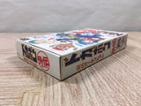 Dokapon Gaiden Honoo no Audition Boxed Super Famicom SNES Japan - UF5844