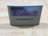 Banshee's Last Cry Kamaitachi no Yoru Boxed Super Famicom SNES Japan - UF5848